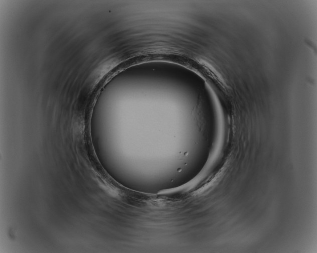 X0000093441065200710121328