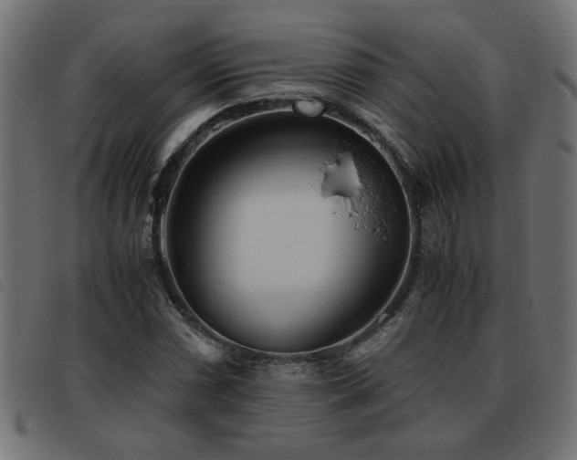 X0000093441066200710121328