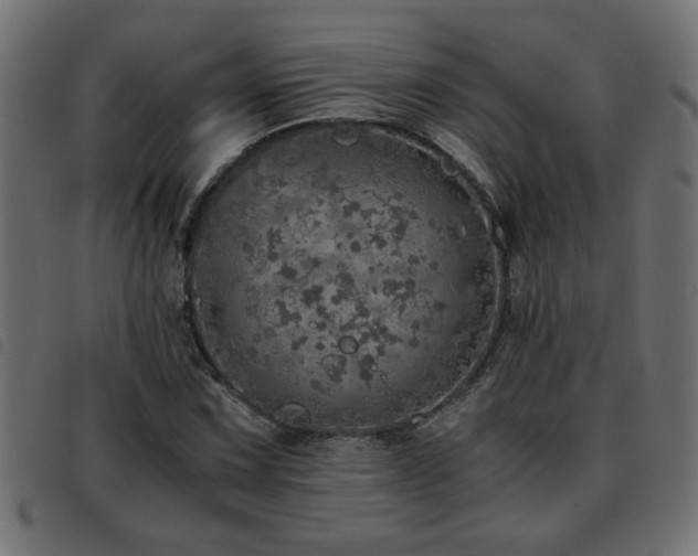 X0000093441067200710121328