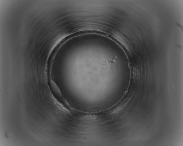 X0000093441068200710121328
