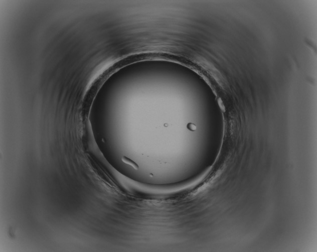 X0000093441069200710121328