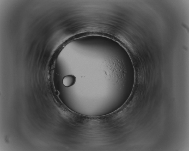 X0000093441070200710121328