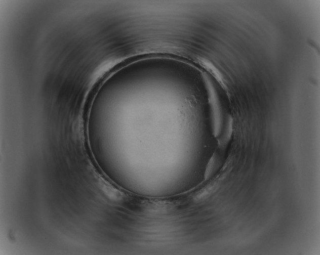 X0000093441072200710121328