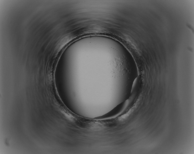 X0000093441073200710121328