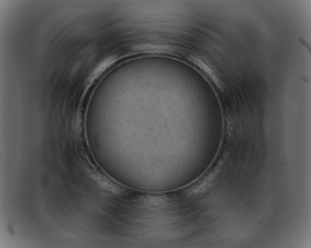 X0000093441074200710121328
