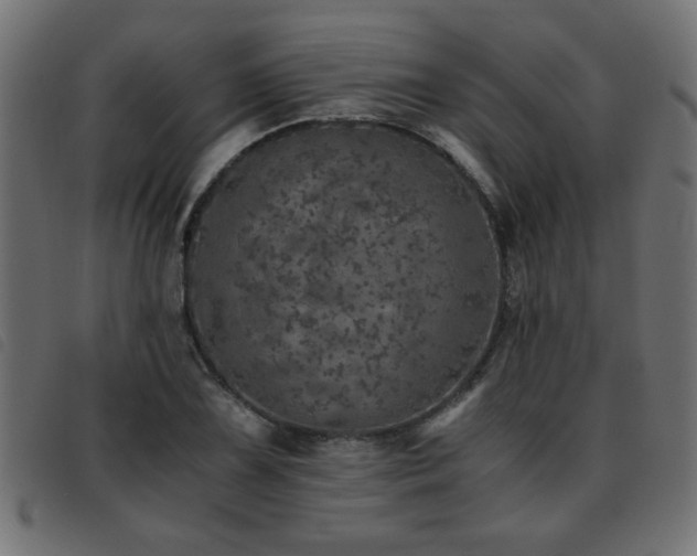 X0000093441075200710121328