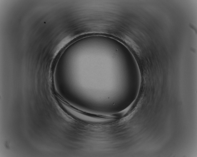 X0000093441077200710121328