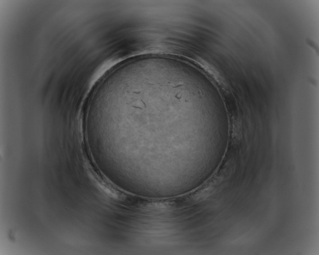X0000093441078200710121328