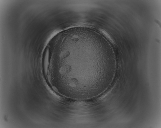 X0000093441079200710121328