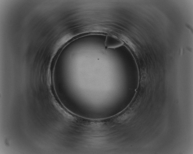 X0000093441080200710121328