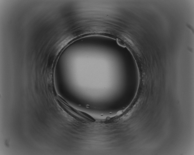 X0000093441081200710121328