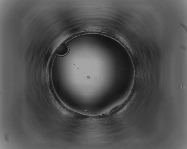 X0000093441082200710121328