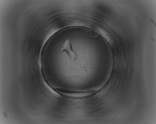 X0000093441084200710121328