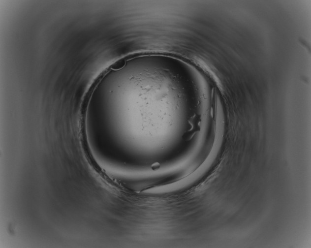 X0000093441085200710121328