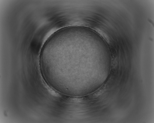 X0000093441086200710121328