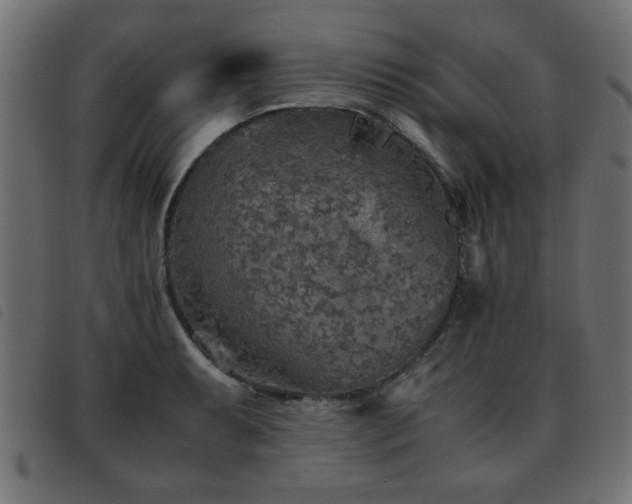 X0000093441087200710121328
