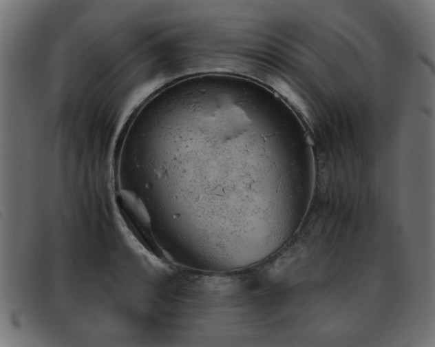 X0000093441088200710121328