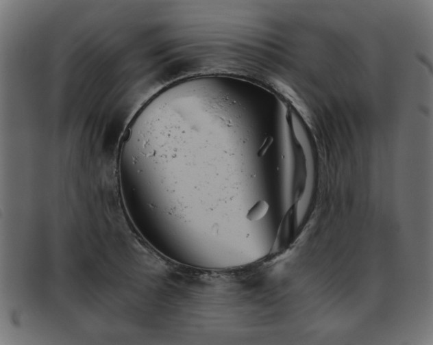 X0000093441089200710121328