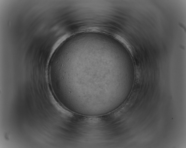 X0000093441090200710121328