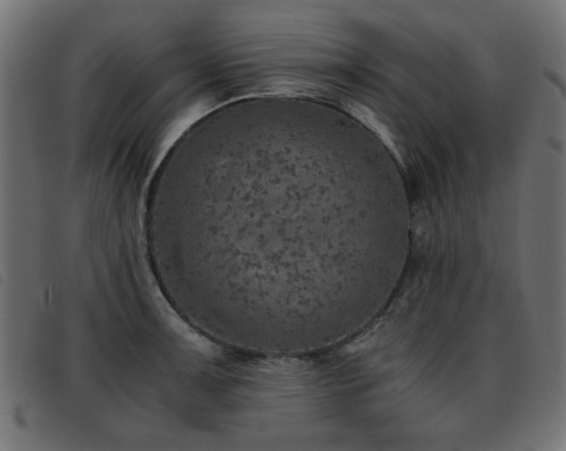 X0000093441091200710121328