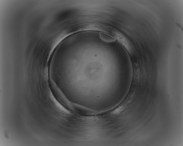 X0000093441092200710121328