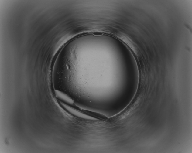 X0000093441093200710121328