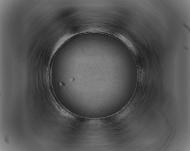 X0000093441094200710121328