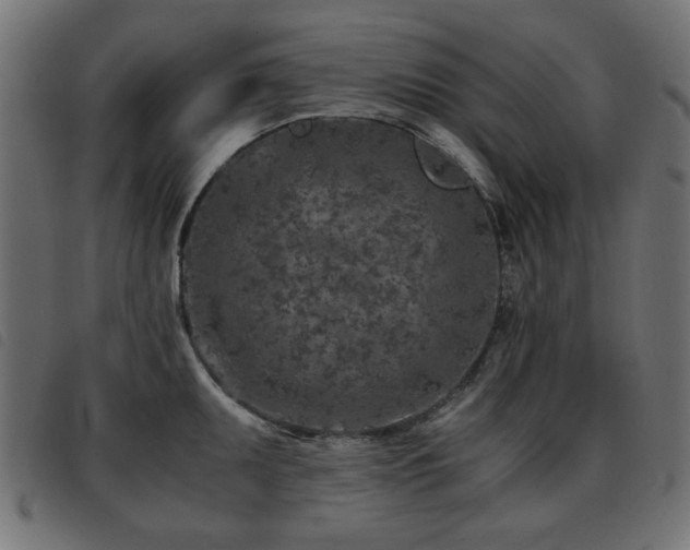 X0000093441095200710121328