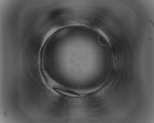X0000093441096200710121328