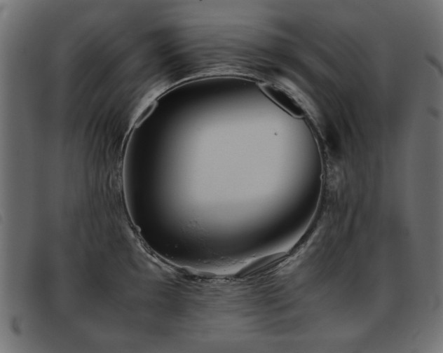 X0000093441097200710121328