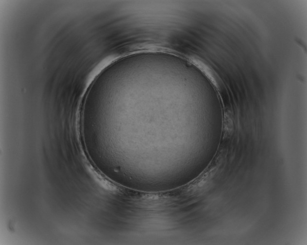 X0000093441098200710121328