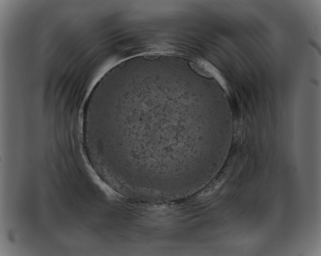 X0000093441099200710121328