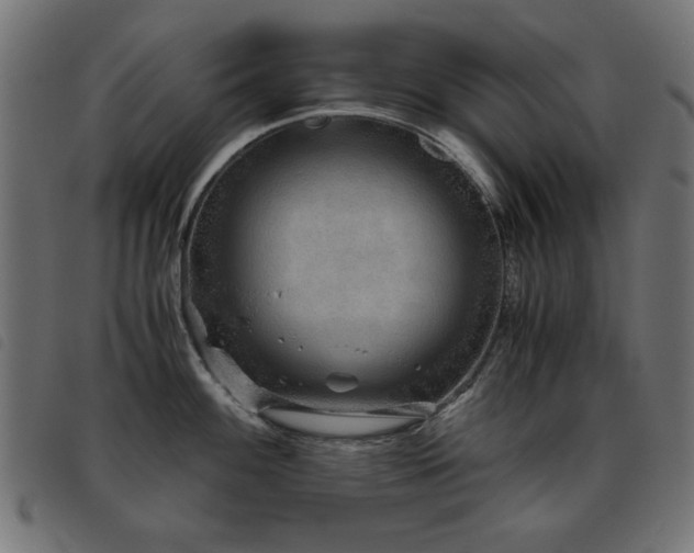 X0000093441100200710121328
