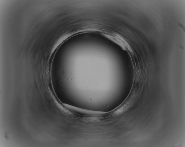 X0000093441101200710121328