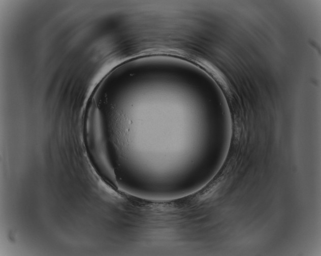 X0000093441102200710121328