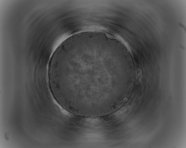 X0000093441103200710121328