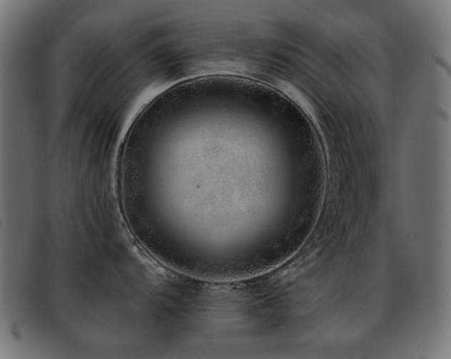 X0000093441104200710121328