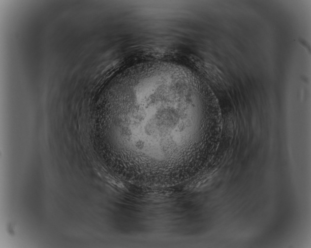 X0000093441105200710121327