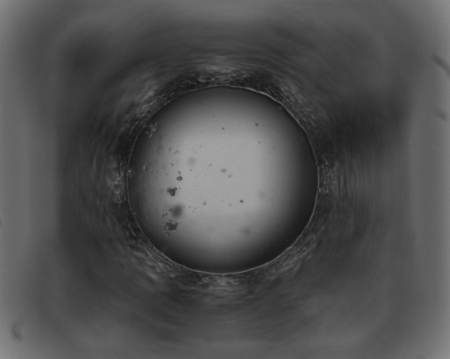 X0000093441109200710121327