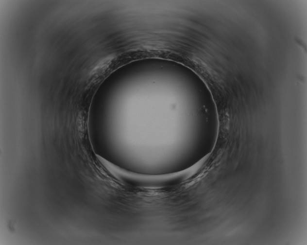 X0000093441110200710121327