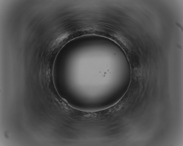 X0000093441111200710121327
