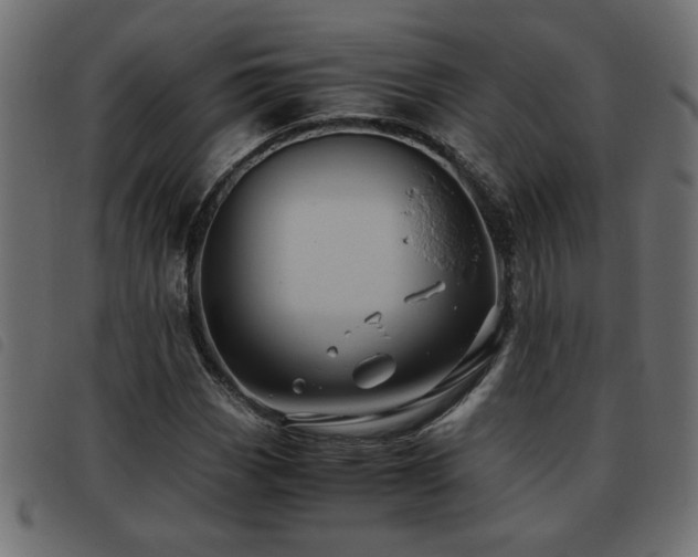 X0000093441113200710121327