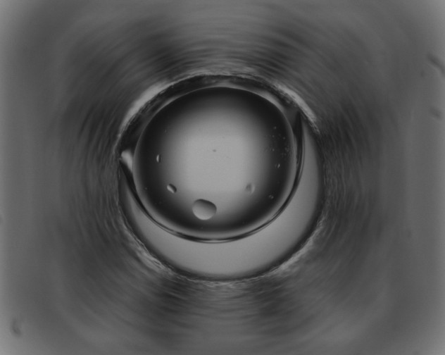 X0000093441114200710121327