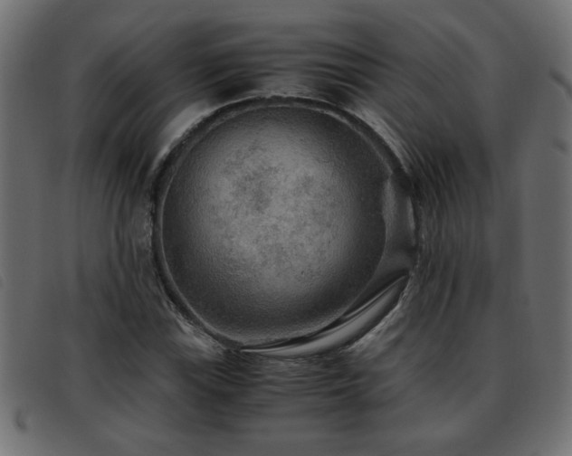 X0000093441115200710121327