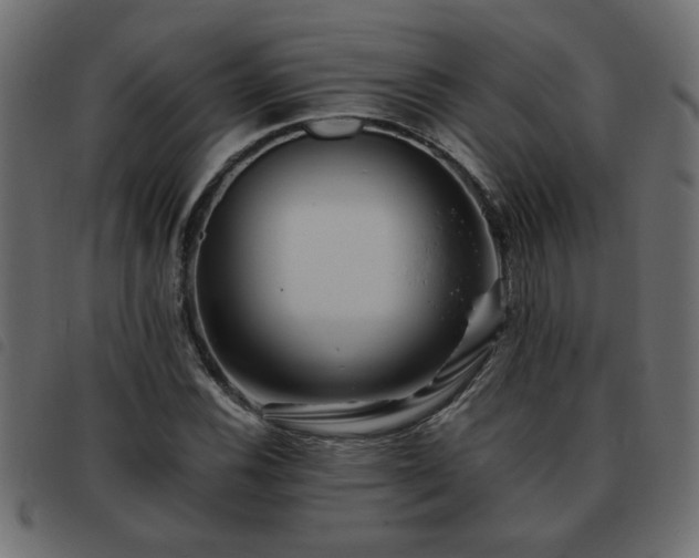 X0000093441116200710121327