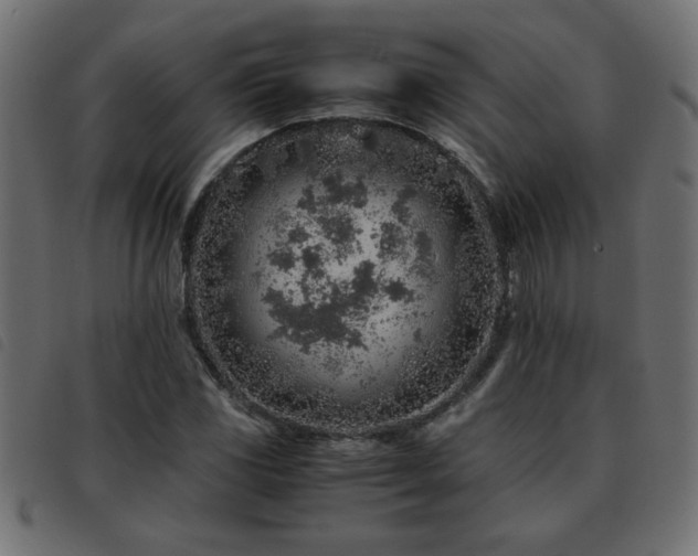 X0000093441117200710121327
