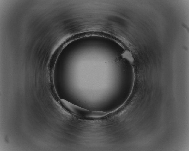 X0000093441118200710121327