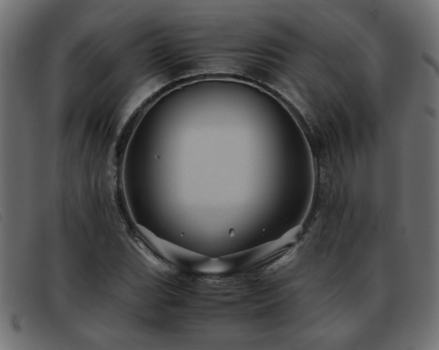 X0000093441119200710121327