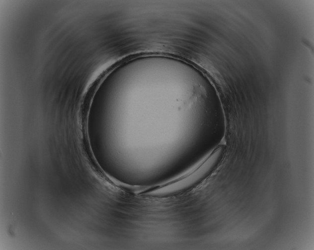 X0000093441120200710121327