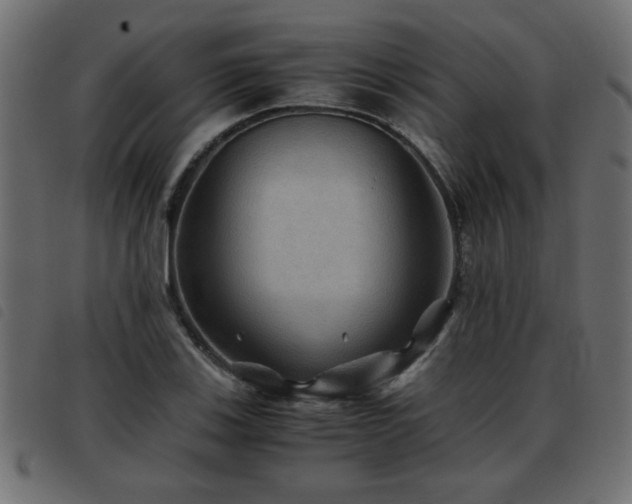X0000093441123200710121327